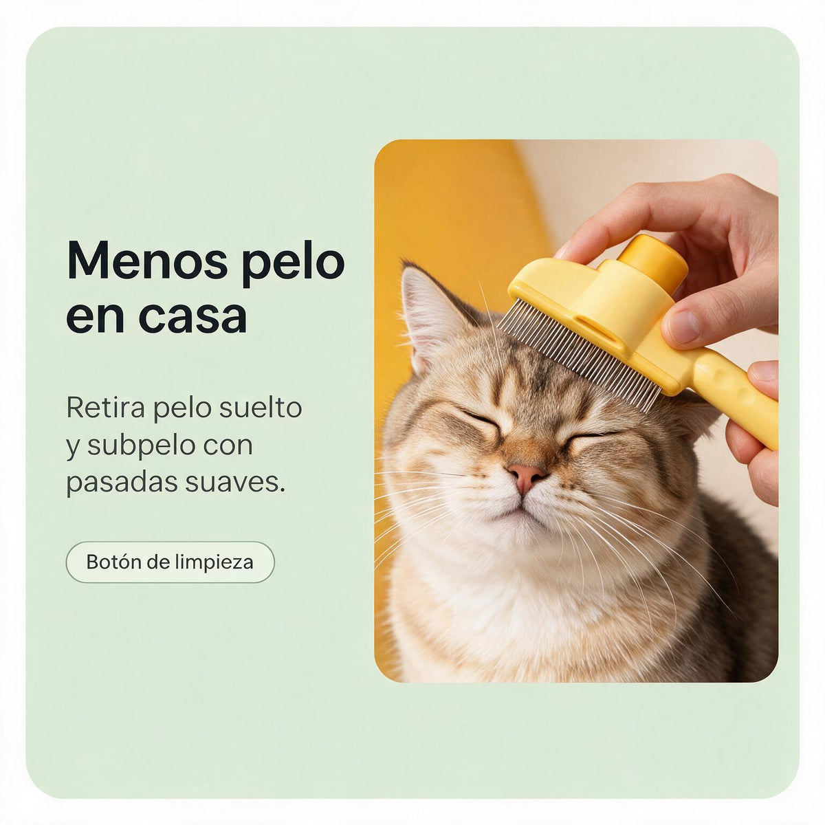 Cepillo para perros y gatos con botón de limpieza