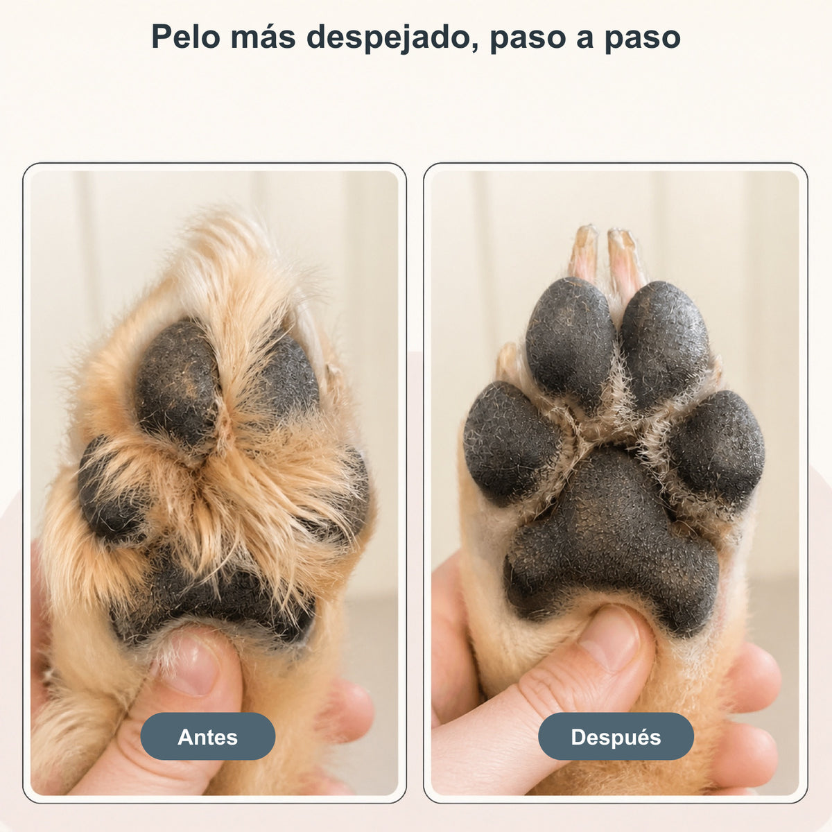 Recortadora de precisión para patas de perros y gatos