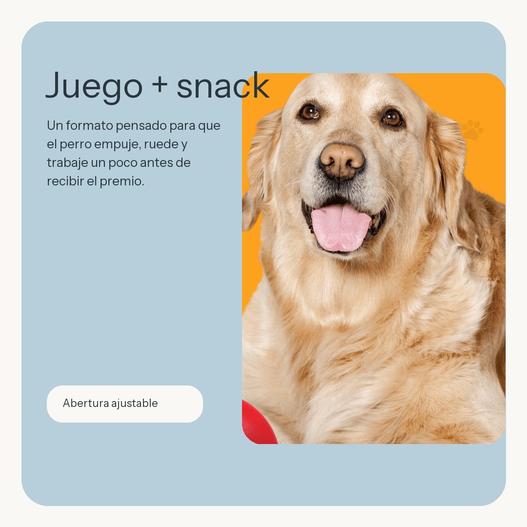 Juguete dispensador de premios para perros
