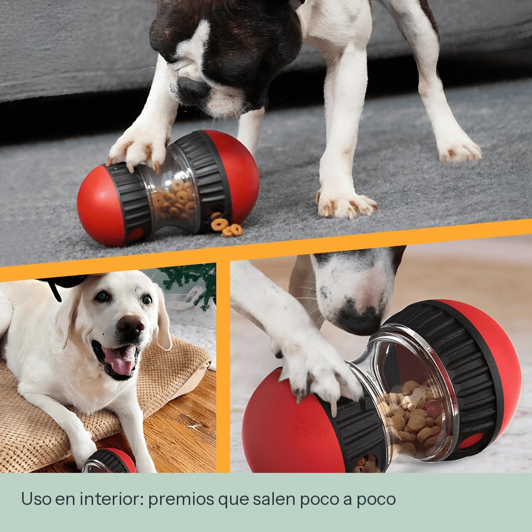 Juguete dispensador de premios para perros